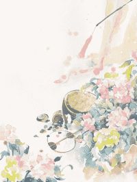 重生后，我成了千古女将