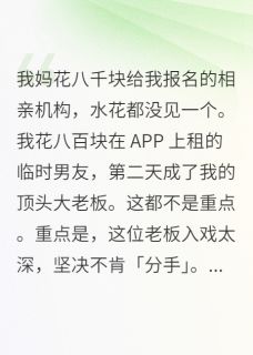 八百租的男友，超值！