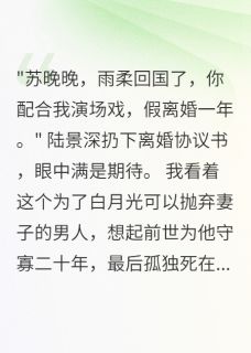 首长要离婚我直接签真协议
