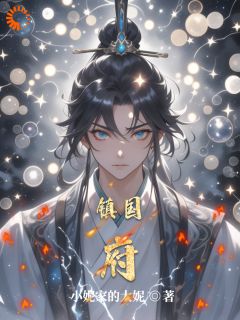 镇国府