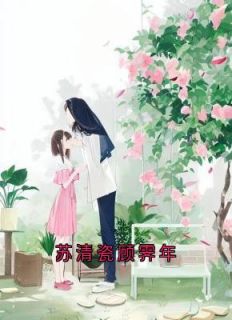 苏清瓷顾霁年