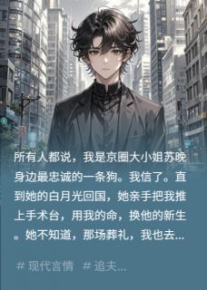 我死后，她抱着骨灰盒疯了