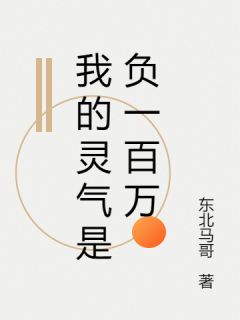 我的灵气是负一百万