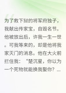 他说我不如妓子，又为我血洗王府
