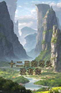 十二月的尽头没有你