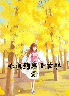 心机炮灰上位手册