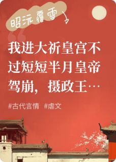 昭沅覆雪
