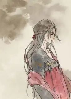 簪缘误闯