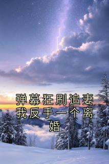 弹幕狂刷追妻我反手一个离婚