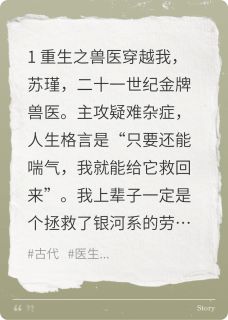我的男友是王爷