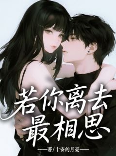 若你离去最相思