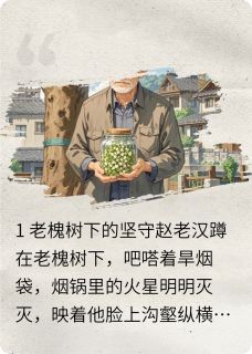 百年老槐树