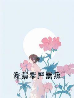 许清禾严景淮