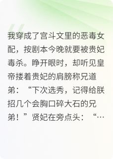 朕的后宫不宫斗，全员都是我兄弟