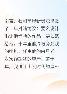 他追妻追了个寂寞