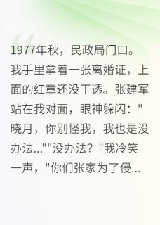重生：七零假离婚的惊天骗局