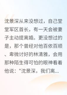 军区首长，我们离婚吧
