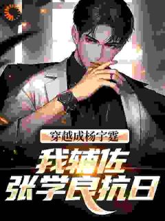 穿越成杨宇霆，我辅佐张学良抗日