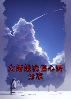 女婿嫌我偏心要分家