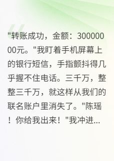 老婆转走三千万消失后我疯了