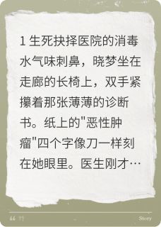 梦幻的结束