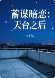 蓄谋暗恋：天台之后
