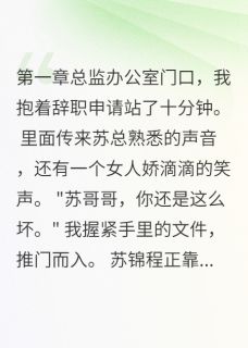 他说只想和我谈工作