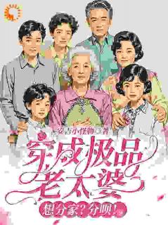 穿成老太婆，分家后我成神豪