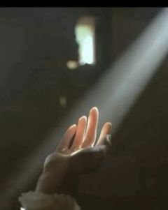 繁华落尽，归来亦是明珠