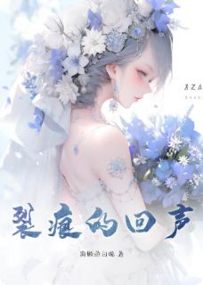 裂痕的回声