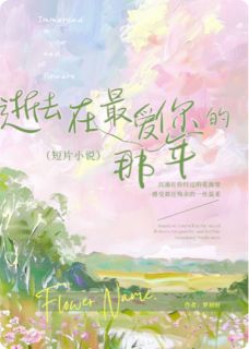 逝去在最爱你的那年
