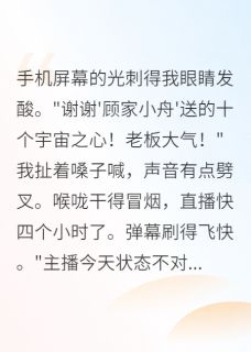顶流歌手他是我榜一金主