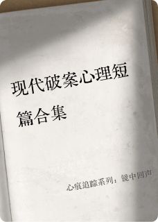 心痕追踪系列：镜中回声