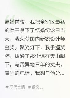 我的兵王先生