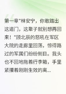 离婚后军官前夫送我千万求复合