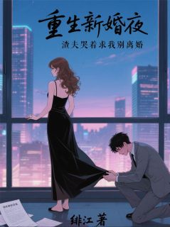 重生新婚夜，渣夫哭着求我别离婚