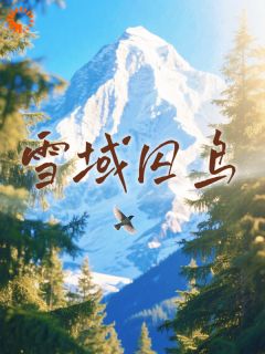 丹增叶心心陈阳
