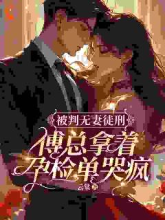 许愿傅京礼许宁