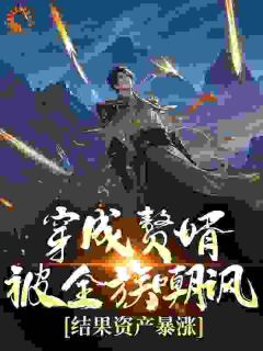 穿成赘婿被全族嘲讽，结果资产暴涨