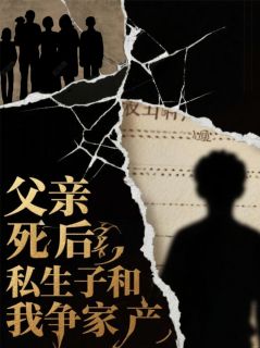 父亲死后，私生子和我争家产