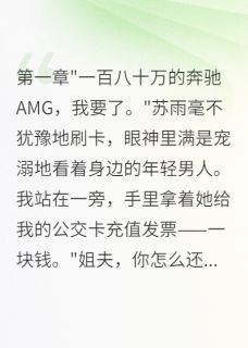 老婆给表弟买车一百八十万