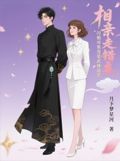 相亲走错桌，闪婚武林高手