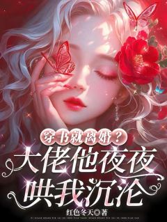 穿书就离婚？大佬他夜夜哄我沉沦