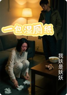 一包湿厕纸