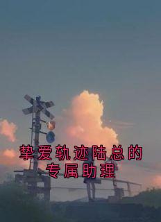 挚爱轨迹陆总的专属助理