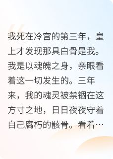 我死在冷宫的第三年，皇上才发现那具白骨是我。