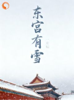 国公府雪夜，我的救驾KPI被抢了