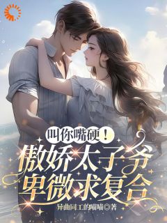 叫你嘴硬！傲娇太子爷卑微求复合